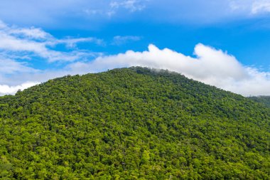 Orman yağmur ormanları olan tropik dağ tepesi Ilha Grande Büyük Adası Angra dos Reis Rio de Janeiro Brezilya 'da palmiye ağaçları bulutları ve mavi gökyüzü..