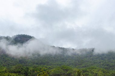 Tropik dağ dağları orman ağaçları dramatik yağmur bulutları muson yağmurları ve sisli gökyüzü Ilha Grande Büyük Adası Angra dos Reis Rio de Janeiro Brezilya 'da.