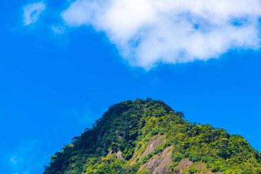 Tropik dağ tepesi Pico do Papagaio orman yağmur ormanları ağaçlarının tepeleri palmiye ağaçları bulutları ve mavi gökyüzü Ilha Grande Büyük Adası Angra dos Reis Rio de Janeiro Brezilya.
