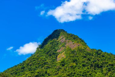 Tropik dağ tepesi Pico do Papagaio orman yağmur ormanları ağaçlarının tepeleri palmiye ağaçları bulutları ve mavi gökyüzü Ilha Grande Büyük Adası Angra dos Reis Rio de Janeiro Brezilya.