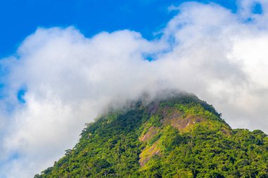 Tropik dağ tepesi Pico do Papagaio orman yağmur ormanları ağaçlarının tepeleri palmiye ağaçları bulutları ve mavi gökyüzü Ilha Grande Büyük Adası Angra dos Reis Rio de Janeiro Brezilya.