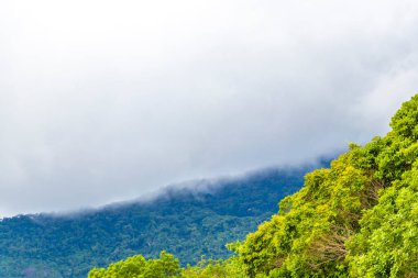 Tropik dağ dağları orman ağaçları dramatik yağmur bulutları muson yağmurları ve sisli gökyüzü Ilha Grande Büyük Adası Angra dos Reis Rio de Janeiro Brezilya 'da.