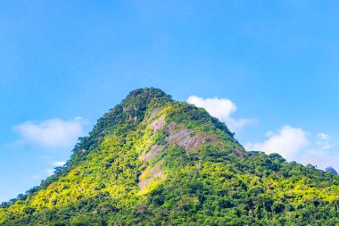 Tropik dağ tepesi Pico do Papagaio orman yağmur ormanları ağaçlarının tepeleri palmiye ağaçları bulutları ve mavi gökyüzü Ilha Grande Büyük Adası Angra dos Reis Rio de Janeiro Brezilya.