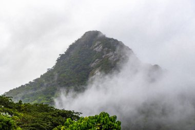 Tropikal dağ tepesi Pico do Papagaio orman ağaçları eker dramatik yağmur bulutları yağmur ve sisli gökyüzü Ilha Grande Büyük Adası Angra dos Reis Rio de Janeiro Brezilya.
