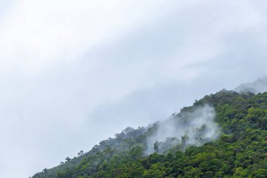 Tropical mountain mountains with jungle forest trees plants dramatic rainy clouds monsoon rain and hazy mist in the sky on Ilha Grande Big Island Angra dos Reis State of Rio de Janeiro Brazil.