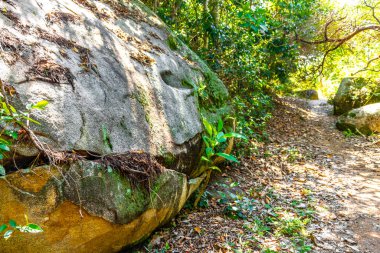 Rio de Janeiro Brezilya 'nın Büyük Adası Angra dos Reis Eyaleti' ndeki dağlarda büyük kaya parçalarıyla tropikal orman yağmur ormanlarında yürüyüş yolunda..