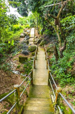 Merdivenlerde yürüyen patika yürüyüşü Ilha Grande Büyük Adası 'ndaki tropikal orman yağmur ormanlarında Angra dos Reis Rio de Janeiro Brezilya Eyaleti' nde.