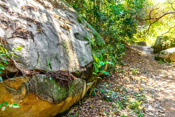 Rio de Janeiro Brezilya 'nın Büyük Adası Angra dos Reis Eyaleti' ndeki dağlarda büyük kaya parçalarıyla tropikal orman yağmur ormanlarında yürüyüş yolunda..