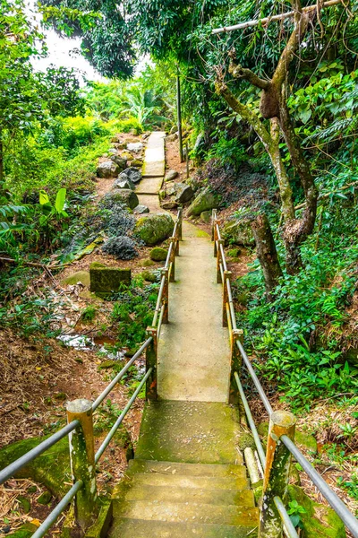 Merdivenlerde yürüyen patika yürüyüşü Ilha Grande Büyük Adası 'ndaki tropikal orman yağmur ormanlarında Angra dos Reis Rio de Janeiro Brezilya Eyaleti' nde.