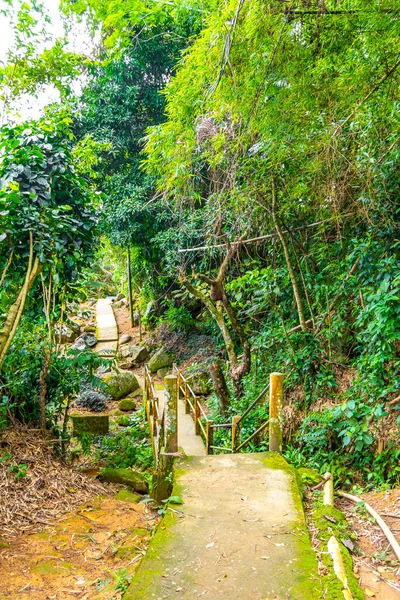 Merdivenlerde yürüyen patika yürüyüşü Ilha Grande Büyük Adası 'ndaki tropikal orman yağmur ormanlarında Angra dos Reis Rio de Janeiro Brezilya Eyaleti' nde.