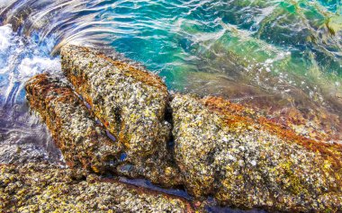 Rocky Kalim Sahili tropikal sahil kıyısı turkuvaz mavisi berrak su dalgaları kum kayaları ve kayalar Patong Sahili Kathu Bölgesi Phuket Adası Güney Tayland Bölgesi.