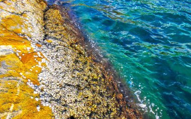 Rocky Kalim Sahili tropikal sahil kıyısı turkuvaz mavisi berrak su dalgaları kum kayaları ve kayalar Patong Sahili Kathu Bölgesi Phuket Adası Güney Tayland Bölgesi.