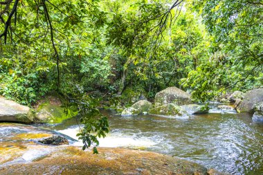 Cachoeira da Feiticeira şelaleleri Ilha Grande Büyük Adası Angra dos Reis Rio de Janeiro Brezilya 'daki tropikal yağmur ormanlarında çağlıyor..