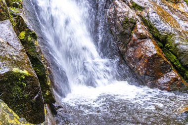Cachoeira da Feiticeira şelaleleri Ilha Grande Büyük Adası Angra dos Reis Rio de Janeiro Brezilya 'daki tropikal yağmur ormanlarında çağlıyor..