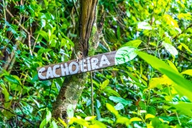 Ilha Grande Büyük Adası Angra dos Reis Rio de Janeiro Brezilya 'daki tropikal yağmur ormanlarında Cachoeira da Feiticeira şelalesi ahşap tabela direği..