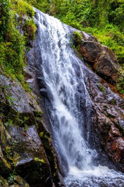 Cachoeira da Feiticeira şelaleleri Ilha Grande Büyük Adası Angra dos Reis Rio de Janeiro Brezilya 'daki tropikal yağmur ormanlarında çağlıyor..