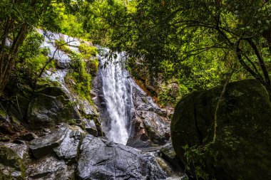 Cachoeira da Feiticeira şelaleleri Ilha Grande Büyük Adası Angra dos Reis Rio de Janeiro Brezilya 'daki tropikal yağmur ormanlarında çağlıyor..