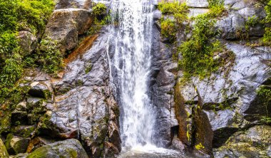 Cachoeira da Feiticeira şelaleleri Ilha Grande Büyük Adası Angra dos Reis Rio de Janeiro Brezilya 'daki tropikal yağmur ormanlarında çağlıyor..