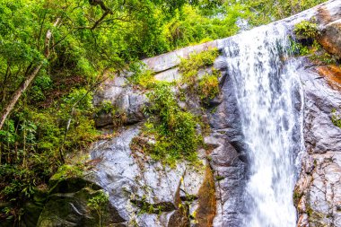 Cachoeira da Feiticeira şelaleleri Ilha Grande Büyük Adası Angra dos Reis Rio de Janeiro Brezilya 'daki tropikal yağmur ormanlarında çağlıyor..