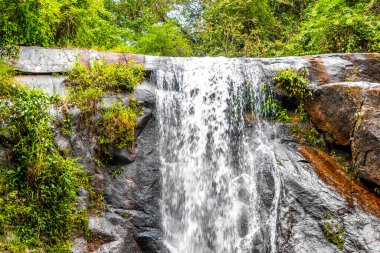 Cachoeira da Feiticeira şelaleleri Ilha Grande Büyük Adası Angra dos Reis Rio de Janeiro Brezilya 'daki tropikal yağmur ormanlarında çağlıyor..