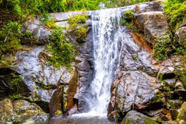 Cachoeira da Feiticeira şelaleleri Ilha Grande Büyük Adası Angra dos Reis Rio de Janeiro Brezilya 'daki tropikal yağmur ormanlarında çağlıyor..