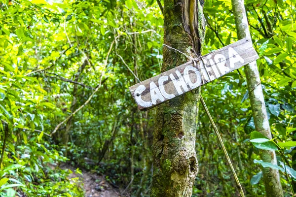 Ilha Grande Büyük Adası Angra dos Reis Rio de Janeiro Brezilya 'daki tropikal yağmur ormanlarında Cachoeira da Feiticeira şelalesi ahşap tabela direği..