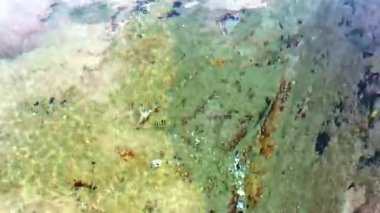 Güneydoğu Asya 'da Patong Sahili' ndeki kayaların arasında yüzen balıklar Güney Tayland 'da Kathu Bölgesi Phuket Adası' nda.