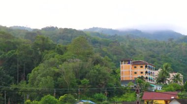 Tropical mountain with jungle forest trees plants clouds and blue sky in Patong Beach Kathu District Phuket Island Province Southern Thailand in Southeast Asia.