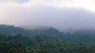 Tropical mountain with jungle forest trees plants clouds and blue sky in Patong Beach Kathu District Phuket Island Province Southern Thailand in Southeast Asia.