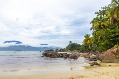 Aventureiro Sahili tropikal manzara manzarası turkuaz su dalgaları palmiye ağaçları ve kayalar Ilha Grande Büyük Adası Angra dos Reis Rio de Janeiro Brezilya.
