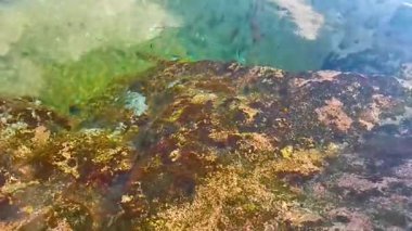 Rocky Kalim Sahili tropikal sahil kıyısı turkuvaz mavisi berrak su dalgaları kum kayaları ve kayalar