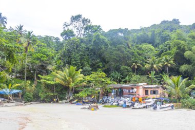 Angra dos Reis Rio de Janeiro Brezilya 11. Kasım 2020 Tropikal Plaj manzarası turkuvaz su dalgaları palmiye ağaçları ve kayalar Ilha Grande Büyük Adası Brezilya.