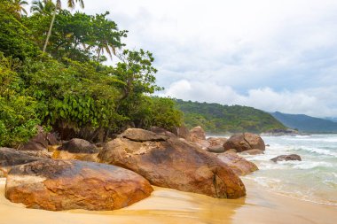 Aventureiro Sahili tropikal manzara manzarası turkuaz su dalgaları palmiye ağaçları ve kayalar Ilha Grande Büyük Adası Angra dos Reis Rio de Janeiro Brezilya.
