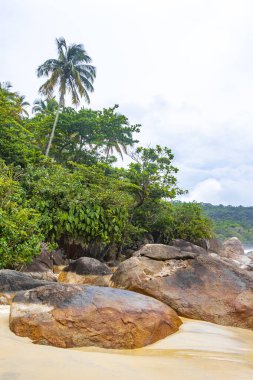 Aventureiro Sahili tropikal manzara manzarası turkuaz su dalgaları palmiye ağaçları ve kayalar Ilha Grande Büyük Adası Angra dos Reis Rio de Janeiro Brezilya.