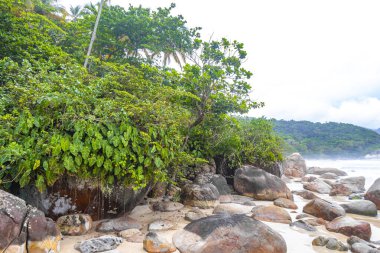 Aventureiro Sahili tropikal manzara manzarası turkuaz su dalgaları palmiye ağaçları ve kayalar Ilha Grande Büyük Adası Angra dos Reis Rio de Janeiro Brezilya.