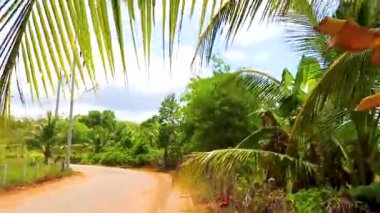 Güney Tayland 'ın güneyindeki Phuket Adası Bölgesi' ndeki Mai Khao Thalang Bölgesi 'nde elektrik direkleriyle yürüyoruz..