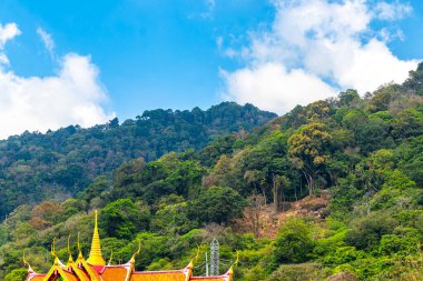 Orman yağmur ormanları olan tropikal dağ tepesi Güneydoğu Asya 'da Güney Tayland' da Patong Sahili Kathu Bölgesi Phuket Adası 'nda palmiye ağaçları ve mavi gökyüzü..