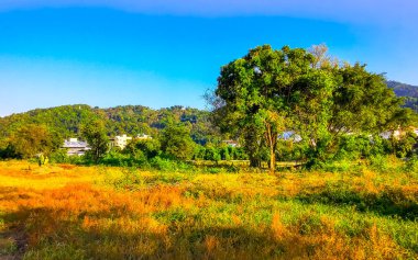 Güneydoğu Asya 'da Güney Tayland' da Patong Sahili Kathu Bölgesi Phuket Adası Güney Tayland 'da tropikal manzara, şehir ve plaj manzarası..
