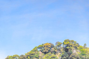 Tropik dağ tepeleri orman yağmur ormanları ağaçlarının tepeleri palmiye ağaçları bulut ve mavi gökyüzü manzarası Patong Sahili Kathu Bölgesi Phuket Adası Güney Tayland.