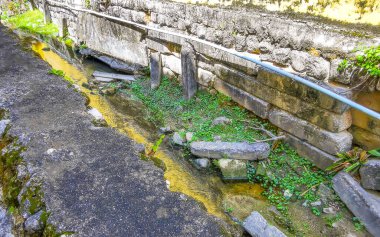 Güneydoğu Asya 'da Patong Sahili Kathu Bölgesi Phuket Adası Güney Tayland' da tropikal doğada yeşil nehir akarsu kanalı..