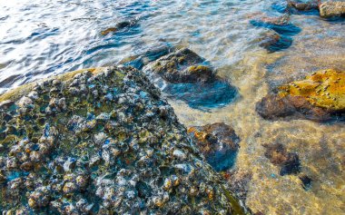 Rocky Kalim Sahili tropikal sahil kıyısı turkuvaz mavisi berrak su dalgaları kum kayaları kaya ve midye kabuklu kayalar Patong Sahili Kathu Phuket Adası Güney Tayland.