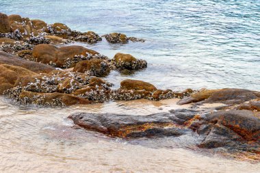 Rocky Kalim Sahili tropikal sahil kıyısı turkuvaz mavisi berrak su dalgaları kum kayaları kaya ve midye kabuklu kayalar Patong Sahili Kathu Phuket Adası Güney Tayland.