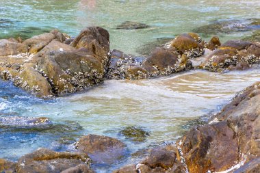 Rocky Kalim Sahili tropikal sahil kıyısı turkuvaz mavisi berrak su dalgaları kum kayaları kaya ve midye kabuklu kayalar Patong Sahili Kathu Phuket Adası Güney Tayland.