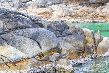 Rocky Kalim Sahili tropikal sahil kıyısı turkuvaz mavisi berrak su dalgaları kum kayaları kaya ve midye kabuklu kayalar Patong Sahili Kathu Phuket Adası Güney Tayland.