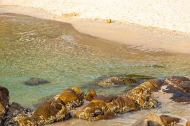 Rocky Kalim Sahili tropikal sahil kıyısı turkuvaz mavisi berrak su dalgaları kum kayaları kaya ve midye kabuklu kayalar Patong Sahili Kathu Phuket Adası Güney Tayland.