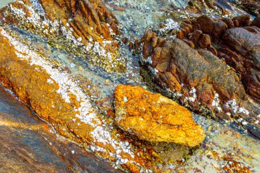 Rocky Kalim Sahili tropikal sahil kıyısı turkuvaz mavisi berrak su dalgaları kum kayaları kaya ve midye kabuklu kayalar Patong Sahili Kathu Phuket Adası Güney Tayland.