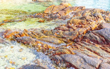 Rocky Kalim Sahili tropikal sahil kıyısı turkuvaz mavisi berrak su dalgaları kum kayaları kaya ve midye kabuklu kayalar Patong Sahili Kathu Phuket Adası Güney Tayland.