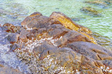 Rocky Kalim Sahili tropikal sahil kıyısı turkuvaz mavisi berrak su dalgaları kum kayaları kaya ve midye kabuklu kayalar Patong Sahili Kathu Phuket Adası Güney Tayland.