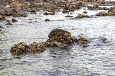 Rocky Kalim Sahili tropikal sahil kıyısı turkuvaz mavisi berrak su dalgaları kum kayaları kaya ve midye kabuklu kayalar Patong Sahili Kathu Phuket Adası Güney Tayland.