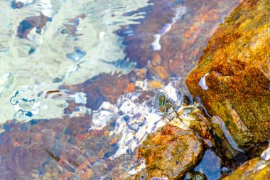 Rocky Kalim Sahili tropikal sahil kıyısı turkuvaz mavisi berrak su dalgaları kum kayaları kaya ve midye kabuklu kayalar Patong Sahili Kathu Phuket Adası Güney Tayland.